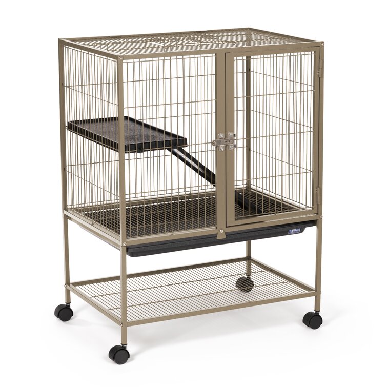 Tucker Murphy Pet Eloise Mouse Cage Reviews Wayfair